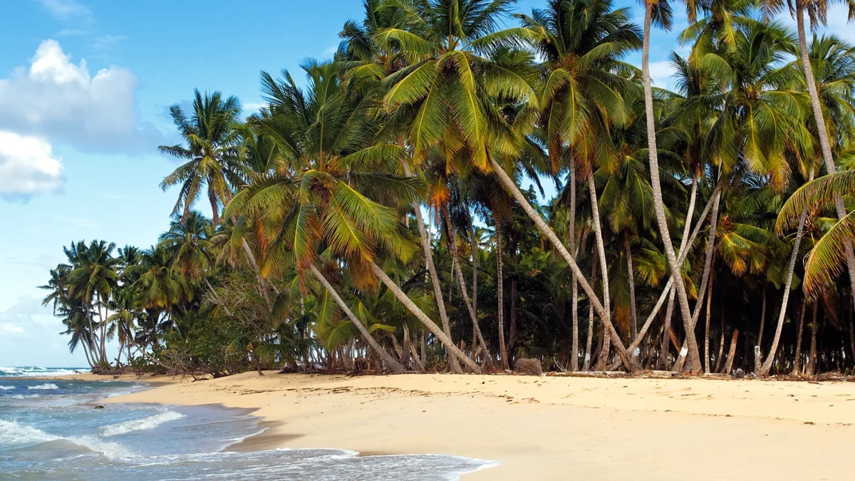 Tropical island in Colombia 