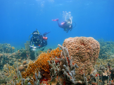 private diving session