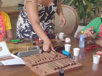 Cigar Rolling Tobacco Experience Cartagena