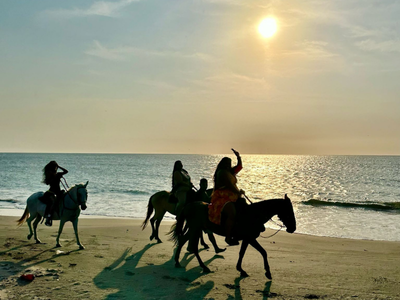 Horseback Riding Cartagena